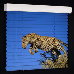 Leopard Wildlife Custom Print Blinds
